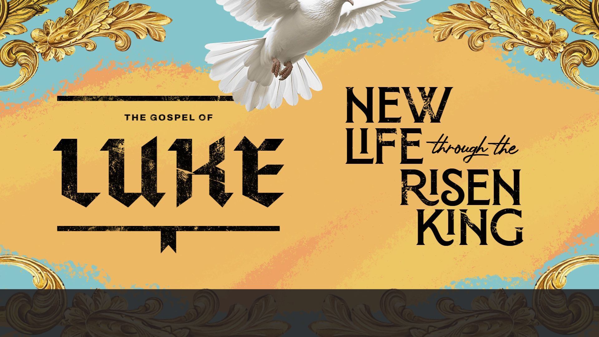 Sermon Series Image for New Life Through the Risen King