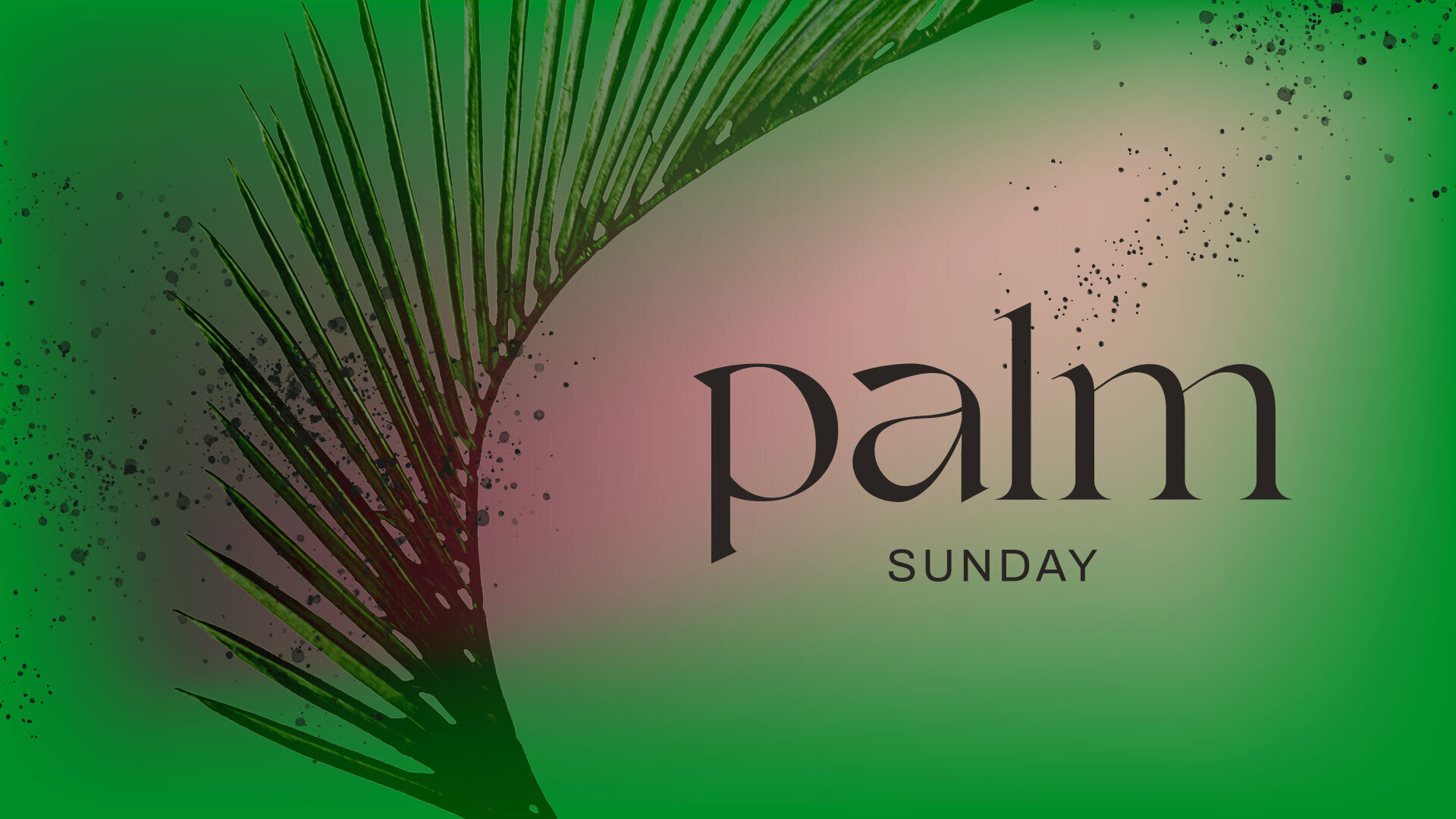 Sermon Series Image for Palm Sunday